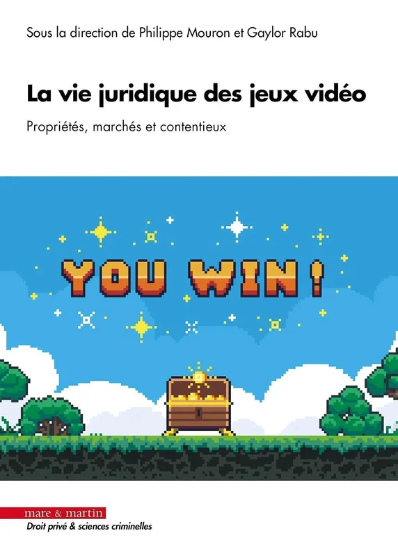 La vie juridique des jeux vidéo: Propriétés, marchés et contentieux