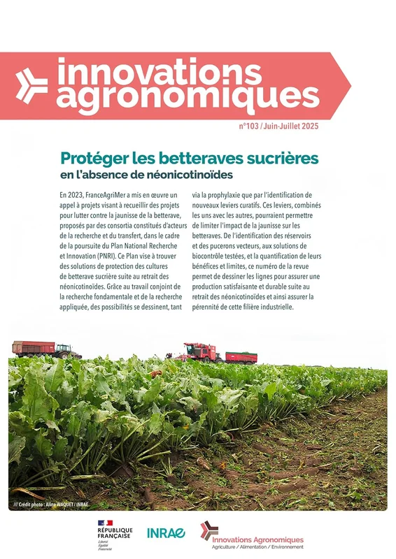 Protéger les betteraves sucrières en l’absence de néonicotinoïdes: Numéro 103 (Innovations agronomiques)