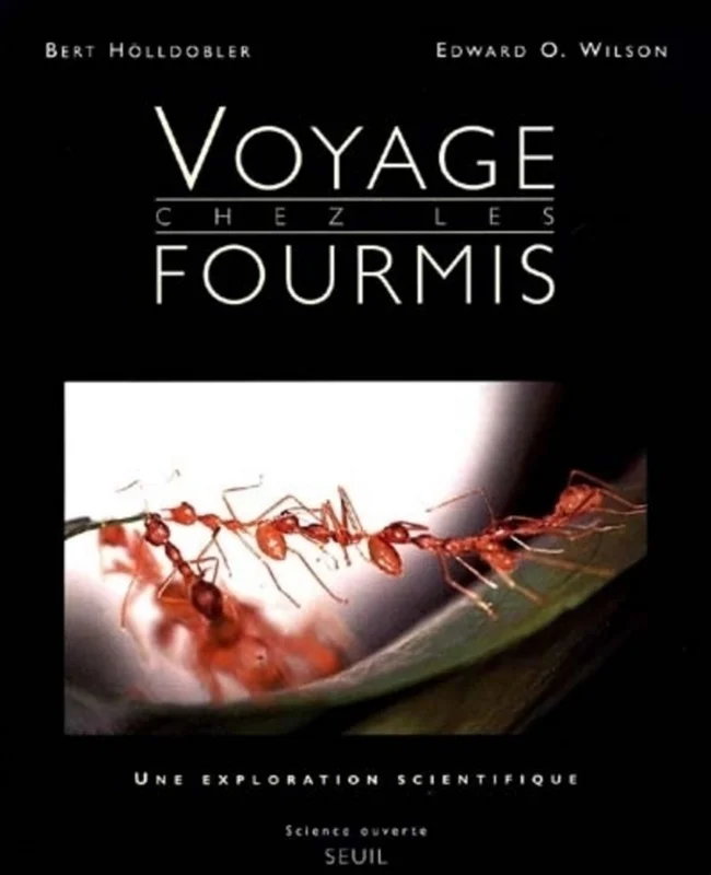 Voyage chez les fourmis - une exploration scientifique