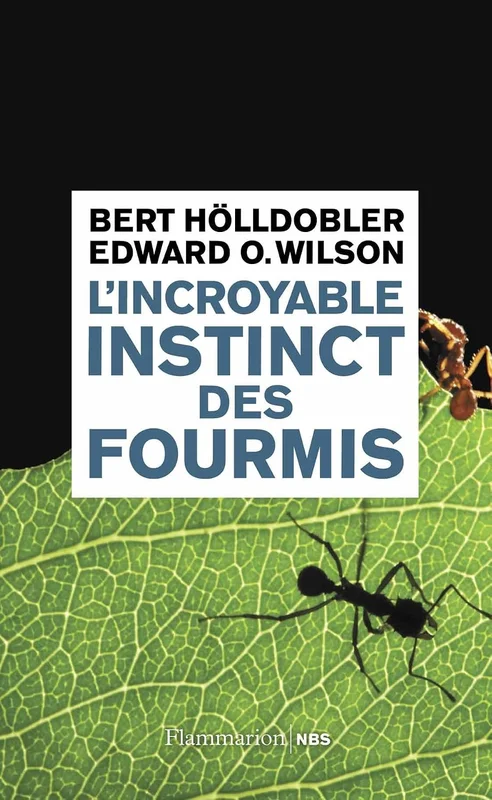 L'Incroyable Instinct des fourmis: De la culture du champignon à la civilisation