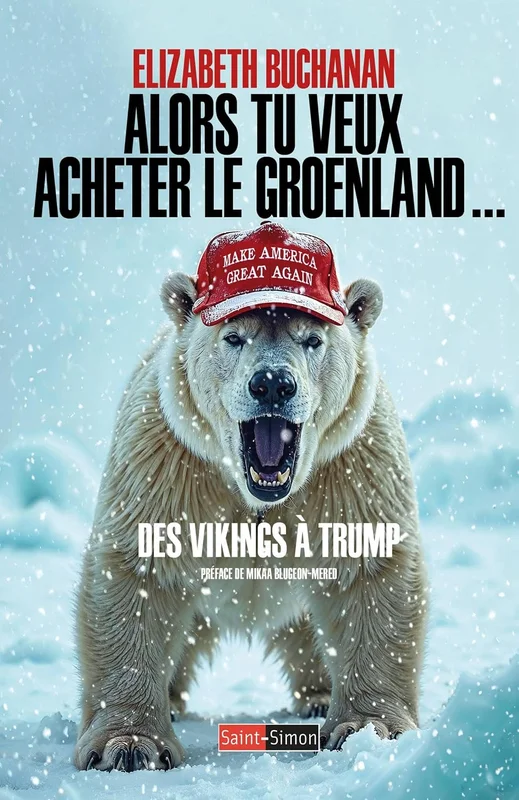 Alors tu veux acheter le Groenland: Des vikings à Trump
