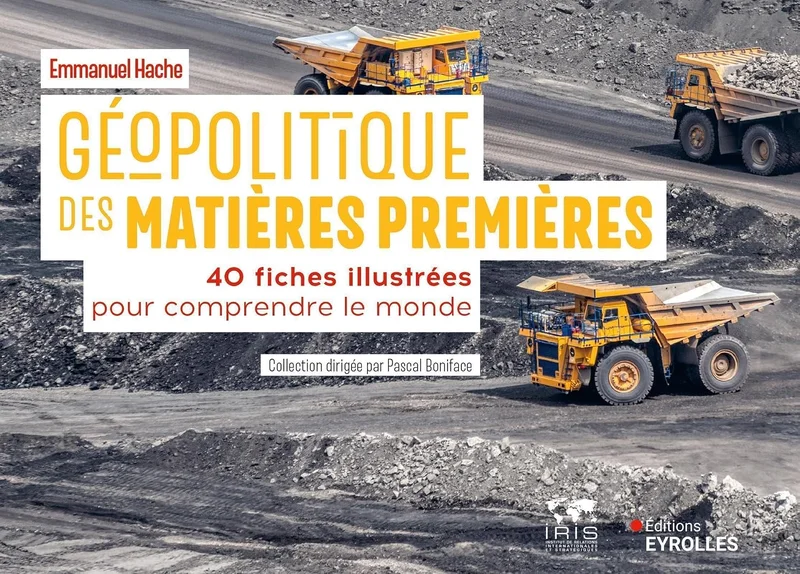 Géopolitique des matières premières: 40 fiches illustrées pour comprendre le monde