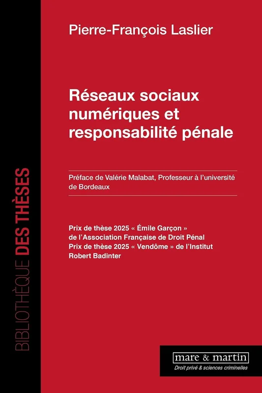 Réseaux sociaux numériques et responsabilité pénale