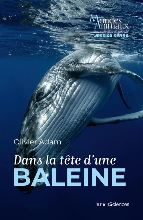 Dans la tête d'une baleine
