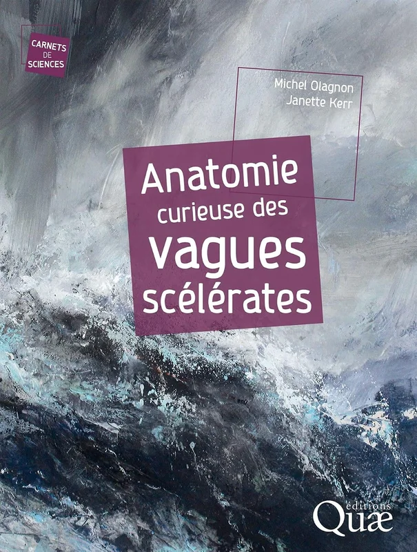 Anatomie curieuse des vagues scélérates (Carnets de sciences)