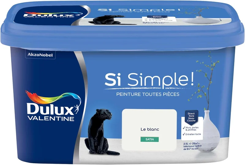 Dulux Valentine So Simple Interior Paint for All Rooms – Wall and Ceiling Paint, Door and Skirting – Colour: Satin White – 2.5 L