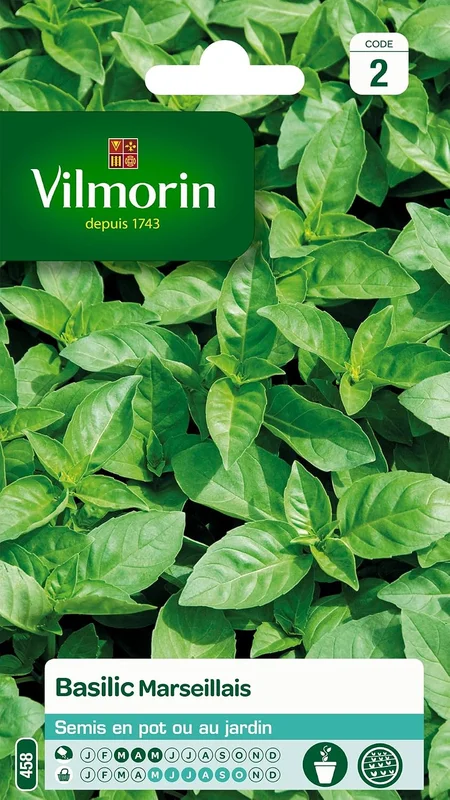 Vilmorin 5873246 Pack of Marseillais Basil Seeds Extremely Fragrant