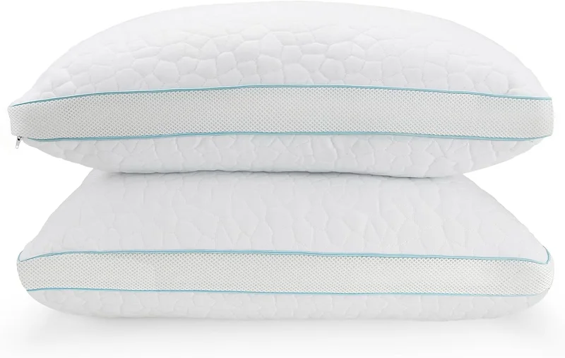 Hapiclody 2Standard Shredded Memory Foam Adjustable Pillows