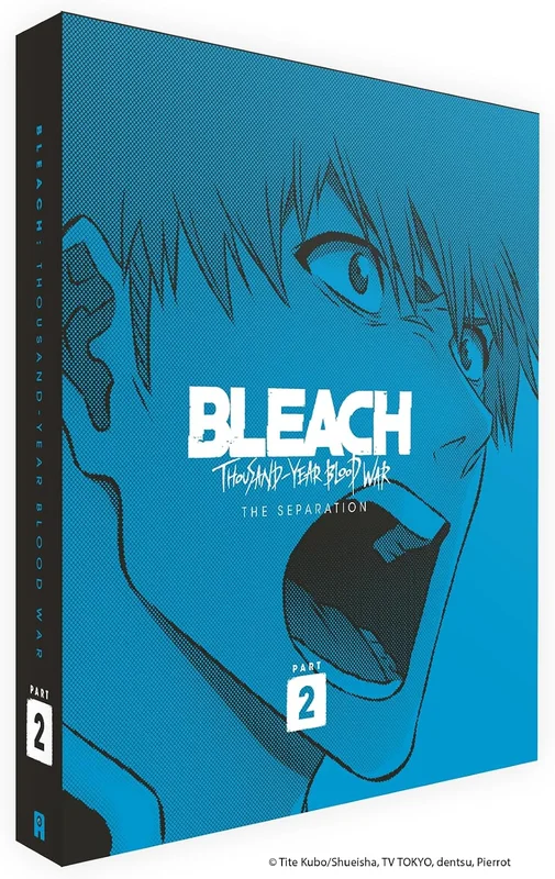 Bleach: Thousand-Year Blood War - Part 2 - The Separation