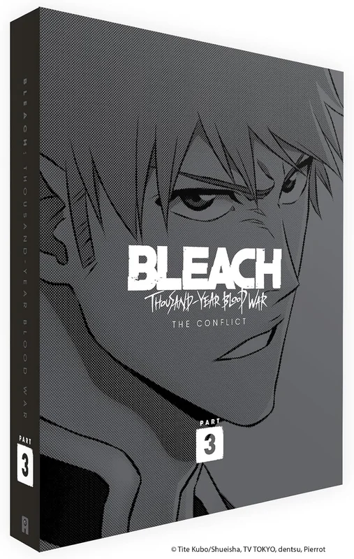 Bleach : Thousand-Year Blood War - Partie 3