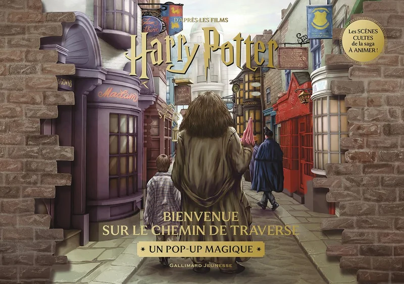 Harry Potter - Bienvenue sur le Chemin de Traverse: Un pop-up magique