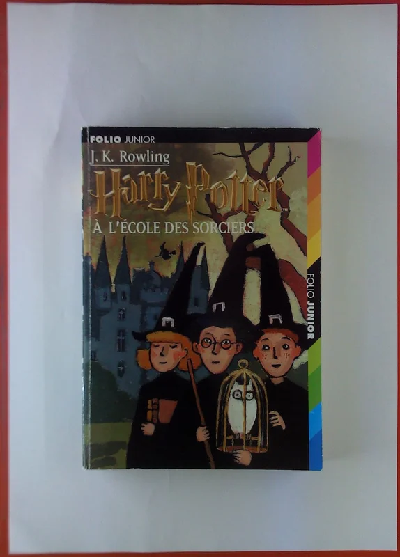 Harry Potter à l'école des sorciers      Paperback – Large Print, 14 Jan. 2005
