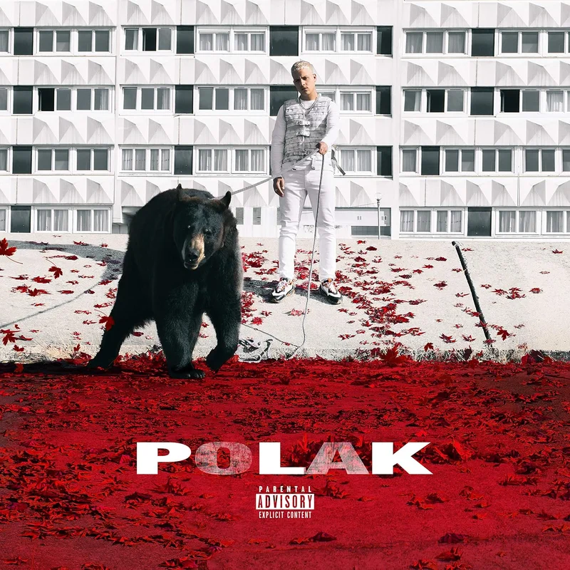 Polak explicit_lyrics